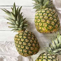 Verse Tropische Queen Ananas 100% Natuurlijk Hoge Kwaliteit Lage Prijs Export in Bulk Fruit & Groenten