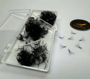 Extensiones de Pestañas Coreanas PBT Negro Mate 500 1000, Fans de Pestañas Pre-Enlazadas, Cajas para Pestañas con Logotipo Personalizado - Product Image 5