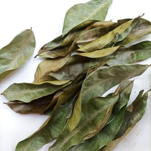 Té Negro Orgánico de Hojas de Guanábana Secas de Vietnam, Té Saludable Sin Azúcar, Grado A, Caja de 25 Bolsitas de Té - Product Image 6