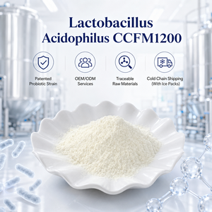 Polvo Probiótico OEM ODM Lactobacillus Acidophilus CCFM1200, 100 Mil Millones de UFC/g, para Soluciones Personalizadas de Premezclas de Bebidas Funcionales - Product Image 1