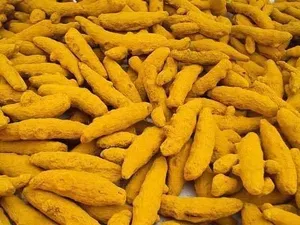 Doigts de curcuma entiers séchés de haute qualité, mélangés, allongés, naturels, épice monovariétale pour usage culinaire, EXPORT DESI, 12 mois - Product Image 3