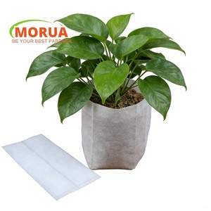 Sacs <span class=keywords><strong>de</strong></span> culture biodégradables non tissés <span class=keywords><strong>de</strong></span> 10 gallons, pots <span class=keywords><strong>de</strong></span> pépinière respirants et durables pour plantes <span class=keywords><strong>de</strong></span> jardin - Product Image 4