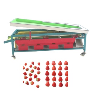 Clasificador de Tomates <span class=keywords><strong>Cherry</strong></span> y Arándanos por Tamaño - Máquina Clasificadora de Frutas Tipo Cinta Transportadora - Product Image 6