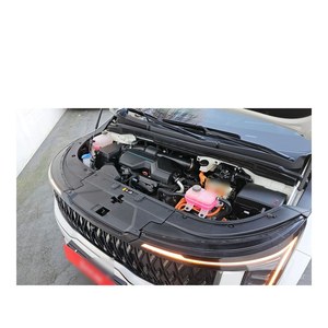 Kia Carnival HEV 2024/5, 7 Plazas, Limusina de Techo Alto, 43,910 km, Caja de Cambios Automática, Asientos de Cuero, Volante a la Izquierda - Product Image 6