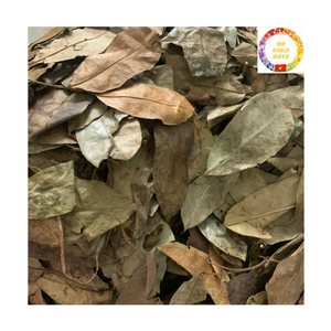 ใบชาเพื่อสุขภาพตามธรรมชาติ |   ผู้ผลิตสมุนไพรฝรั่งอบแห้งแบบ OEM จำนวนมากจากเวียดนาม - Product Image 4