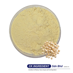 Mejor Proveedor Garantizado, Quinoa Blanca en Polvo, Calidad Premium, Halal, OEM, B2B, Superventas, Superalimento, Base Nutritiva, Sin Gluten, Cereal - Product Image 2