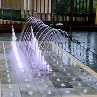 Fontaine flottante extérieure en acier inoxydable avec PLC programmable, spectacle aquatique musical et laser, équipement à sec à vendre