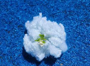 Fibra de Poliéster Reciclado 3D de 51 mm, Hueca, Conjugada, Siliconada, Antiestática y Antidistorsión, Material de Relleno para Almohadas - Product Image 4