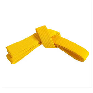 Cinturón Elegante de Alta Calidad, Reforzado con Algodón Resistente, para MMA, Judo, Jiu-Jitsu, Karate, Taekwondo, Boxeo, para Niños y Adultos, Personalizable - Product Image 1