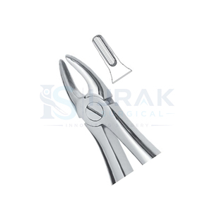 Forceps d'extraction dentaire en acier inoxydable, forceps manuels pour dents, griffes chirurgicales pour usage clinique - Product Image 4
