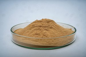 Enzyme pour une digestion efficace des protéines, poudre d'enzyme bromélaïne 1200 GDU, activité ultra élevée, dérivée végétale, protéolytique - Product Image 3