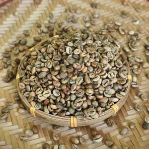 Prix du café du Vietnam Premium Robusta Honey 18 Grade 1 60kg Sac de jute Approvisionnement d'usine Taux de maturité élevé 90% à l'écran 18 - Product Image 3