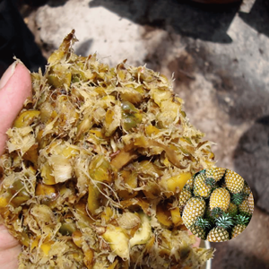 Silage de Cáscara de Piña Fermentada, Precio de Fábrica, Estándar Internacional, Empacado en Bolsa Jumbo de 500 kg, Superventas - Product Image 1