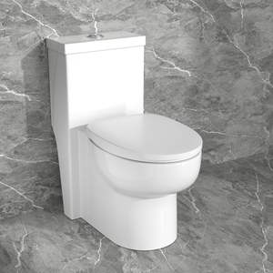 WC Monoblocco in Ceramica Bianca con Doppio Scarico e Sedile con Chiusura Ammortizzata, Qualità Premium - Product Image 2