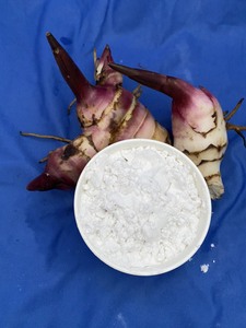 Poudre d'amidon d'arrowroot biologique la plus vendue, goût naturel pour l'alimentation et les ingrédients, emballée en sachet, provenant du Vietnam - Product Image 3