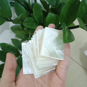 ชิ้นส่วนเปลือกหอยมุกธรรมชาติ |   วัสดุอัญมณีคุณภาพพรีเมียมสำหรับทำเครื่องประดับและงานฝีมือทำมือ |   ส่งออกสินค้าคุณภาพแบบขายส่ง - Product Image 6