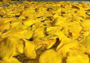 Soft Golden Mango Chunks Chewy golden mango chunks, vacuum packed, naturally <b>sweet</b>, export and retail ready. - Product Image 3