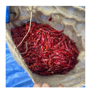 Piments rouges séchés d'origine vietnamienne pour l'approvisionnement en ingrédients de l'industrie alimentaire - Product Image 3