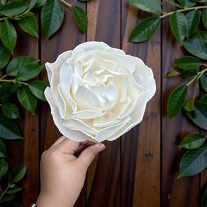 ดอกไม้โซล่าวู้ด VADEE SOLA WOOD FLOWER ทำมือ ดอกไม้โซล่าวู้ดสีงาช้างแบบยั่งยืน ขนาด 8.5 ซม. ทำจากเส้นใยพืชเซสบานียา จากประเทศไทย - Product Image 6