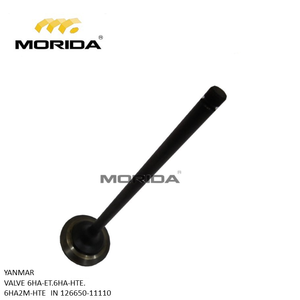 VALVE EX 6HA2M-HT 12665011100 pour YANMAR - Product Image 1