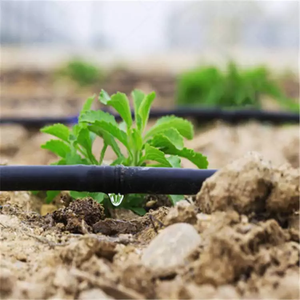 1.0LPH PC Dripline 60cm Emisor Espaciado para plantación escasa - Product Image 1