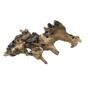 Eco-Friendly Decorative Aquascape Terrarium <b>Vivarium</b> Drift <b>Wood</b> Rose Aquarium Decor - Product Image 2