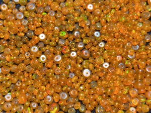 Ethiopian <b>Opal</b> Rondelle Beads 3-5mm Orange Fire <b>Opal</b> Smoked Treated Natural <b>Opal</b> Gemstone Smooth Drilled Beads <b>Necklace</b> Jewelry - Product Image 6