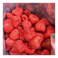 HOTSELLER 2026 Gedroogde Aardbeienplakjes voor Hiking Snacks Puur Tropisch Fruit Schoon Veilig Draagbare Fruitpakjes S S