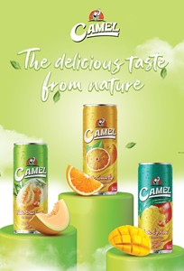 Concentrado de Jugo de Frutas Tropicales Naturales de la Mejor Calidad, en Lata de 330 ml, Venta al Por Mayor, Marca Privada, Bajo en Carbohidratos, A&B OEM ODM - Product Image 3