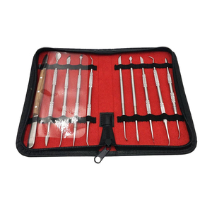 Kit professionnel de 10 instruments de sculpture sur cire dentaire en acier inoxydable – Outils manuels pour équipement et fournitures de laboratoire dentaire - Product Image 1