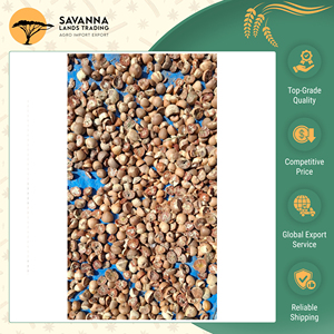 Fornitura Diretta dalla Fabbrica, Ottima Qualità per l'Esportazione, Noci di <span class=keywords><strong>Betel</strong></span> Sfilettate e Tagliate, Prezzo di Mercato Ragionevole, OEM Accettato - Product Image 6