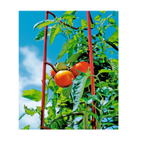 Ensemble de supports pour plantes de tomates, lot de 3