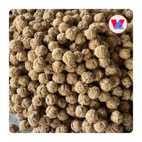 Balle à mâcher en fibre de coco naturelle de haute qualité, durable, jouet biodégradable en coque de noix de coco, sphère moléculaire pour chiens et chats, jeu interactif