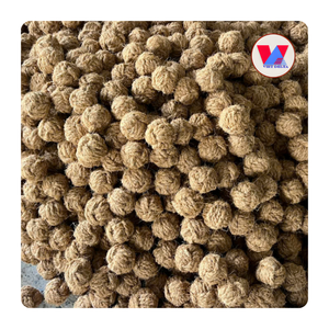 Pelota Masticable de Fibra de Coco Natural de Alta Calidad, Juguete Biodegradable de Cáscara de Coco, Esfera Molar para Perros y Gatos, Juego Interactivo - Product Image 1