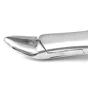 Forceps d'extraction dentaire de qualité supérieure, grade O.R. # 150 instruments pour les premiers molaires supérieurs, les incisives et les racines - Product Image 3