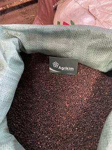 Fabricant fiable au Vietnam Top vente poivre noir de qualité supérieure épices simples et herbes toutes tailles prix bon marché - Product Image 5