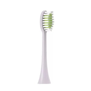 OEMwholesale Nylon Bristles Commercial Use <b>Toothbrush</b> <b>Heads</b> G2 G3 C1 C2 C3 W W3 USB Replacement <b>Heads</b> for for <b>Electric</b> - Product Image 4