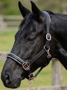 Luxury <b>Black</b> Leather Horse Halter Crystal Rhinestone Patent Noseband & <b>Rose</b> Gold Fitting Wholesale English Tack Manufacturer - Product Image 4
