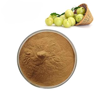 Polvo de Amla 100% Puro y Natural Más Vendido para el Cuidado de la Piel y el Cabello, Polvo de Grosella Indio de Alta Calidad al por Mayor desde India - Product Image 2