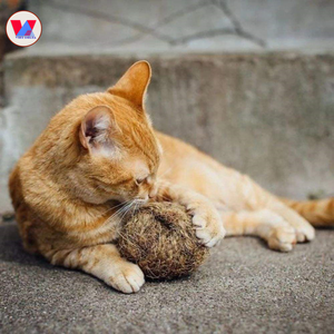 HIGH QUALITY 5-10cm Coir Chew Ball Natural Coconut Fiber Pet Toy OEM Husk Sphere For Hamster Rabbit Chinchilla Dental Health Toy - Product Image 3