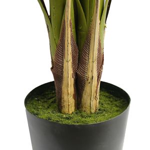51-Inch Artificial Palm <b>Tree</b> for Indoor or Outdoor Decorative Use - Product Image 6