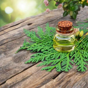 Vente en gros 100% naturel Thuja feuille huile Pharma Grade Corps Gel Meilleur Prix Pack Tailles 25kgs et 180kgs Disponibles - Product Image 3