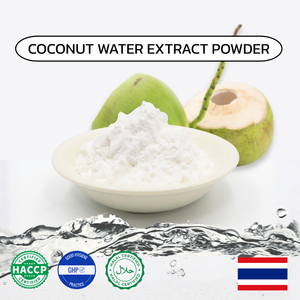 ผงสกัดน้ำมะพร้าวไทยธรรมชาติ 100% สีขาวบริสุทธิ์ ปราศจากน้ำตาล อุดมด้วยสารต้านอนุมูลอิสระ อายุการเก็บรักษา 12 เดือน - Product Image 2