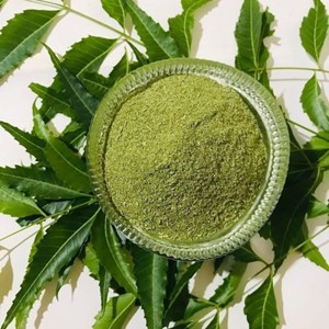 Poudre de feuilles de Neem naturelle de qualité supérieure, 100% pure, poudre d'Azadirachta Indica pour les masques faciaux, les soins de la peau, les masques capillaires et les soins du cuir chevelu - Product Image 1