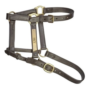 OEM Best Quality Brown Padded Leather Horse <b>Halter</b> with Personalized Brass Name Plate and Hardware <b>Halter</b> Horse - Product Image 5
