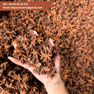Anís Estrellado de Vietnam, Especias Enteras, Hierba Aromática Natural, 10 kg, MS ELLY (WA +84 829 526 179) - Product Image 2