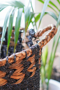 Handwoven Organizer <b>for</b> Laundry Toys <b>Plants</b> and Rustic Home Decoration Authentic Natural Seagrass Storage <b>Basket</b> - Product Image 4