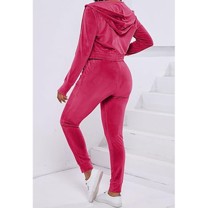 Combinaison à capuche en velours pour femmes, manches longues, taille haute, couleur unie, fermeture éclair sur le devant, combinaison décontractée pleine longueur pour un usage quotidien - Product Image 2