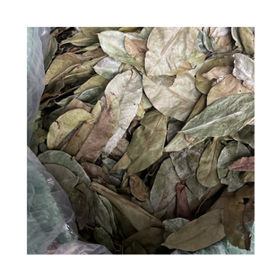 ใบทุเรียนเทศแห้งแบบธรรมชาติสำหรับแบรนด์ชากราวิโอลา - Product Image 2