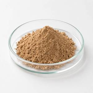 Extracto de Acorus Calamus Natural en Polvo de Fábrica Directa, Ingrediente Herbal Premium para Formulaciones de Salud Digestiva, Venta al Por Mayor OEM - Product Image 2